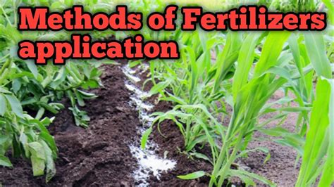 Methods Of Fertilizer Application How To Apply Fertilizers
