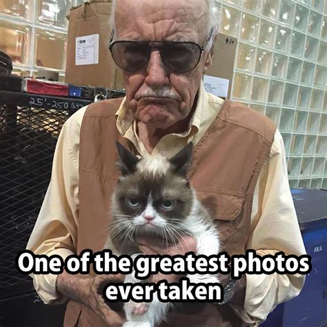 Love Stan Lee And Grumpy Cat Funny Grumpy Cat Memes Grumpy Cat Humor