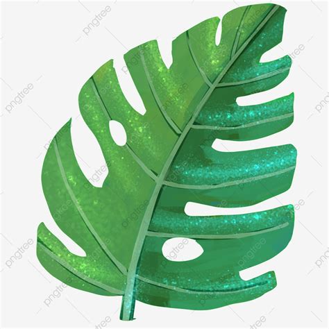 Summer Plant Big Leaf Illustration, Tropical Plant, Banana Leaf, Large Leaf PNG Transparent ...