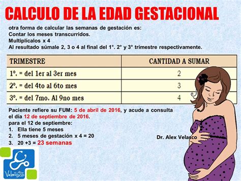 C Lculos Obstetricos Dr Alex Velasco
