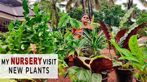 Garden tour in malayalam/sitout plant tour/gardening/vertical garden ideas/sitout arrangements. My Nursery Visit | New Plants | Home Garden(Malayalam ...