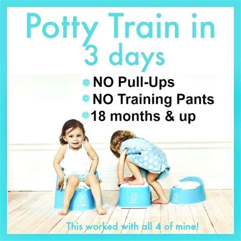 Pin By Yevplovdima On Baby Potty Training Girls Toddler Potty
