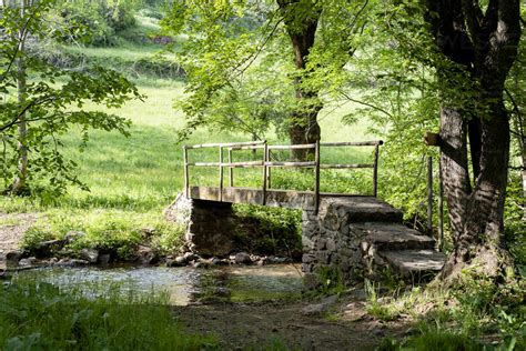 Wooden Bridge Over A River In The Middle Of A Forest Stock Photo