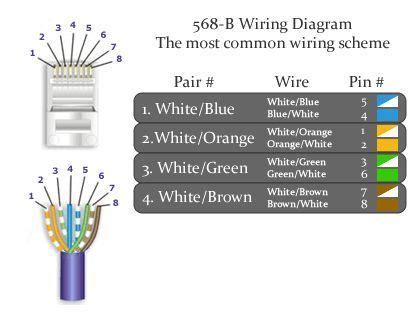 The different types of cables (category or cat) offer increasingly faster transmit and receive speeds. CAT6 568 B Wiring Diagram On Cat6 Cable Wiring Diagram | Wp themes, Wordpress theme, Hosting ...