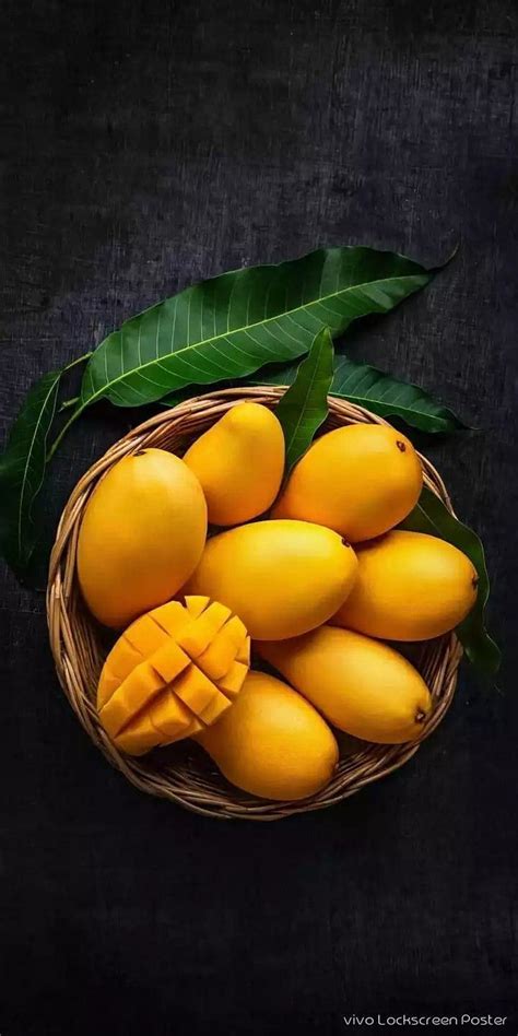 mango mango tree hd wallpaper pxfuel