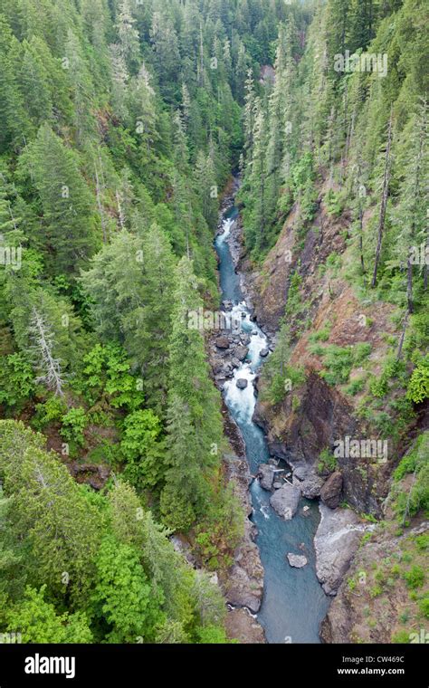 Usa Washington State Olympic National Forest Skokomish River Stock