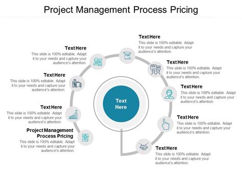 Project Management Process Pricing Ppt Powerpoint Presentation Layouts