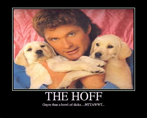 The Hoff Picture Ebaums World
