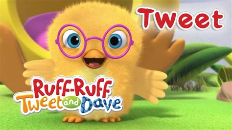 Ruff Ruff Tweet And Dave Meet Tweet Universal Kids Youtube