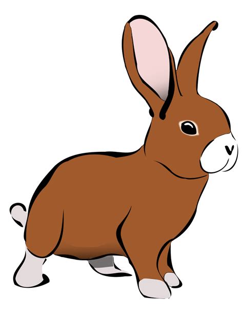 Cartoon Rabbit Images Clipart Best