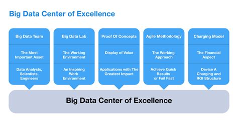 How To Set Up A Big Data Centre Of Excellence Big Data Framework