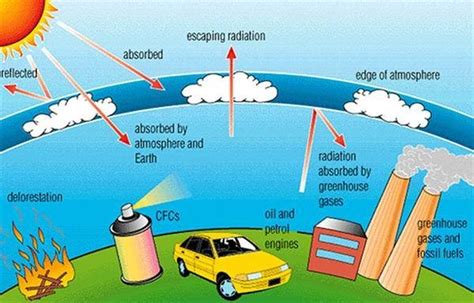 Copy Of The Greenhouse Gases