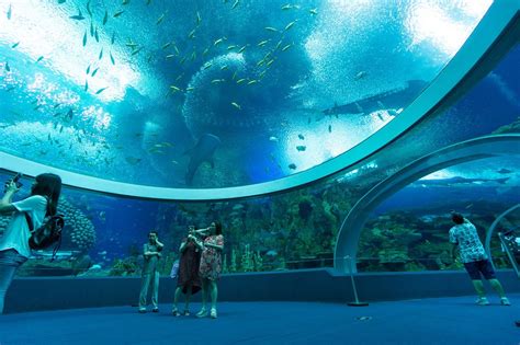 The Worlds Largest Aquarium Reveals Complexity And Contradictions Of
