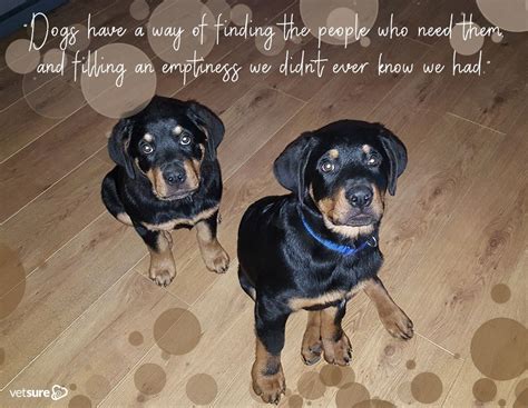 Lucy and Levi sharing our #TuesdayThought this week :) # ...