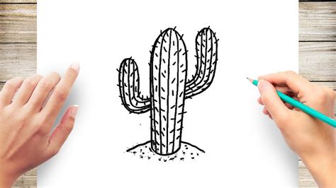 35 Trends For Realistic Cactus Drawing Simple Sarah Sidney Blogs