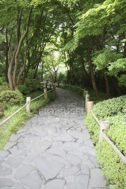 Stone Path In Forest — Brick Pleasant Stock Photo 168992084