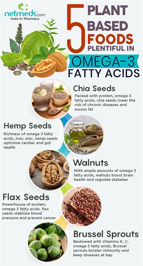 Omega 3 Fatty Acids 5 Best Plant Based Sources That You Should Add In