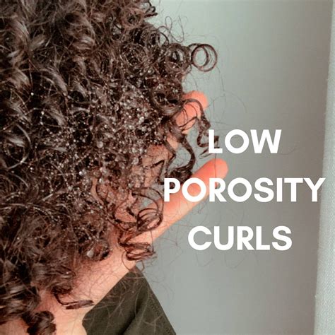Top 125 What Is High Porosity Hair