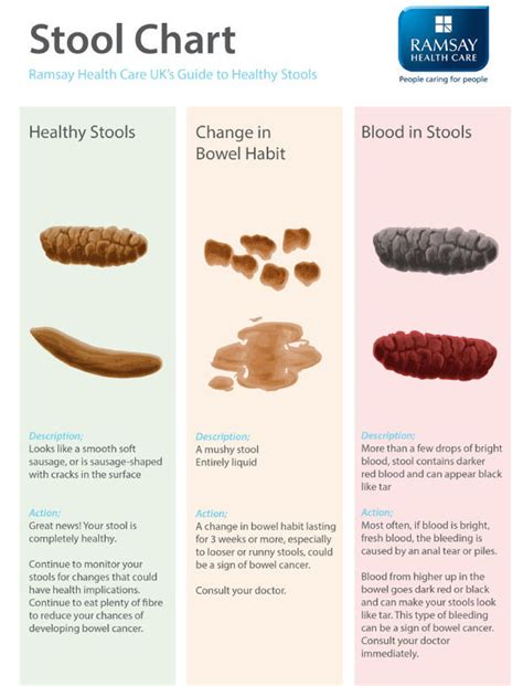 Is My Poo Normal Stool Reveals All About Your Health Uk