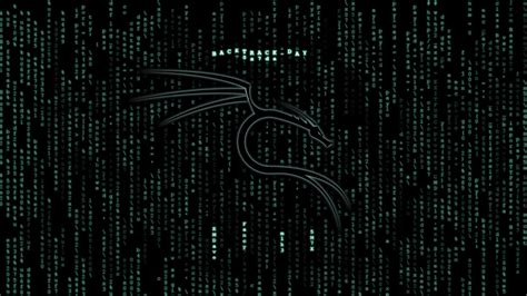 Kali Linux Hacking Wallpaper