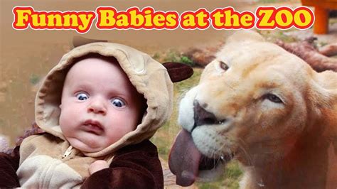Funny Babies At The Zoo Funny Zoo Animal Video Compilation 2020 Youtube