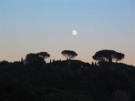 Un pensiero su tre metri sopra il cielo. Ponte Flaminio: omaggio del Fascismo all'Impero Romano ...