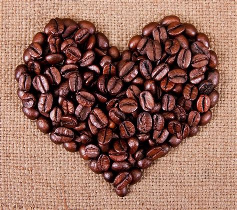 Download Coffee Heart Hd Wallpaper Heart And Rose Hd Wallpaper Hd