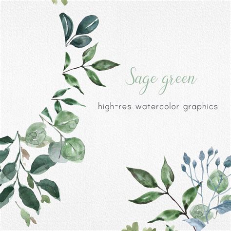 Watercolor Greenery Frame Clipart Green Leaves Wreath