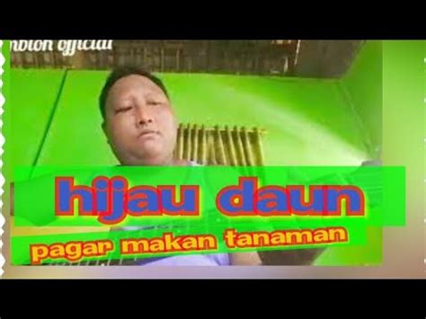 Hijau daun · single · 2018 · 1 songs. Hijau daun_pagar makan tanaman(cover by gombloh) - YouTube