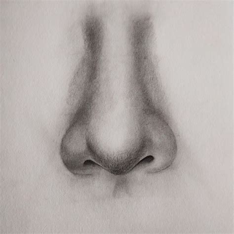 How To Draw Nose Front View Lov4arts Easy Drawing Techniques