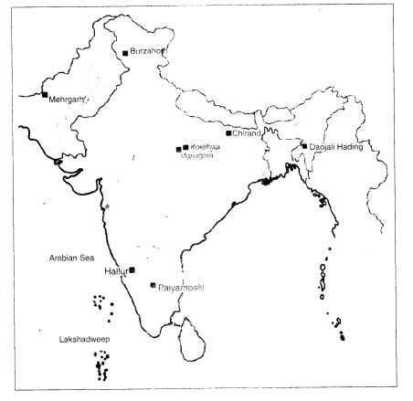 1200x1325 / 353 kb go to map. Class 6th Social Science History Chapter 3 From Gathering ...