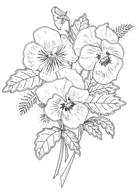 Recently added 38+ black and white vector flowers images of various designs. New Pansy Rubber Stamp Designs for Penny Black, CA ...