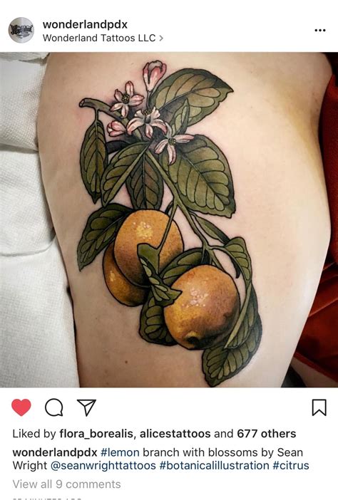 Pin By Hollis Wakefield On Ink Tattoos Ink Tattoo Fruit Tattoo