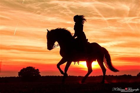 Sunset Horse Back Riding