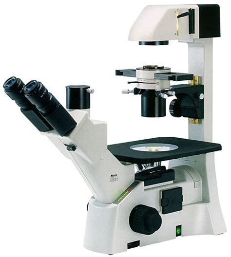 Motic Ae31 Inverted Trinocular Microscope