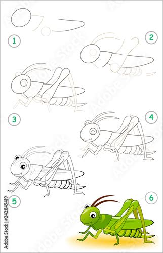 Educational Page For Kids Shows How To Learn Step By Step To Draw A