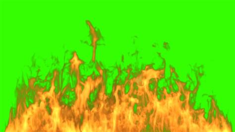 With our app you are able to livestream to major streaming platforms. Fire Effects Green Screen free - YouTube