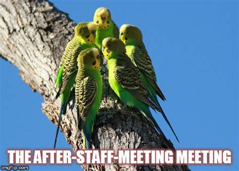 The Meeting Imgflip