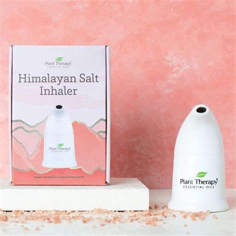 Himalayan Salt Inhaler Plant Therapy