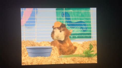 Wonder Pets The Phone Is Ringing Song Youtube