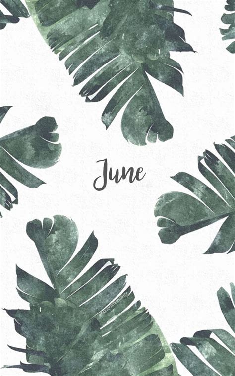 Maybe you would like to learn more about one of these? June Aesthetic Wallpapers - Wallpaper Cave