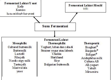 Susu Fermentasi Food Microbiology
