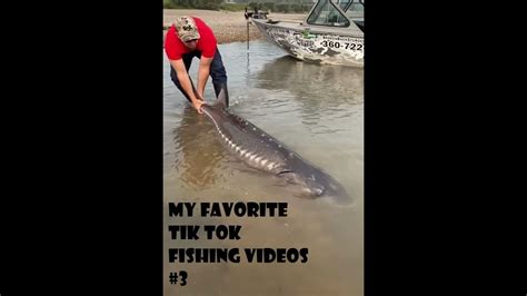 My Favorite Tik Tok Fishing Videos 3 Youtube