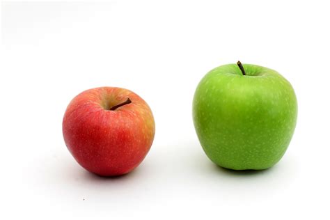 Apfel Bilder und Apfel Fotos Bilder » Bilddatenbank » Stockfotos