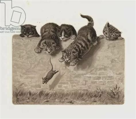 Prints Of Kittens Chasing A Mouse Chromolitho Kittens Year Of The