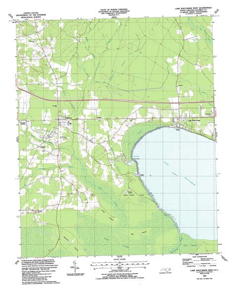 Lake Waccamaw West Topographic Map Nc Usgs Topo Quad 34078c5