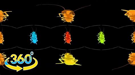 🧊 rainbow cockroach dances 🧊 youtube