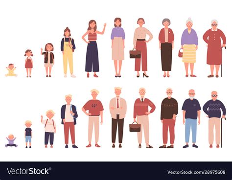 Woman And Man In Different Ages Royalty Free Vector Image