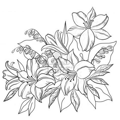 Outline Of Flowers For Drawing Rectangle Circle