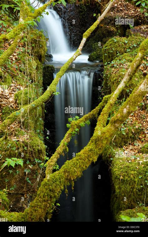 Green Woodland Waterfall Stock Photo Alamy